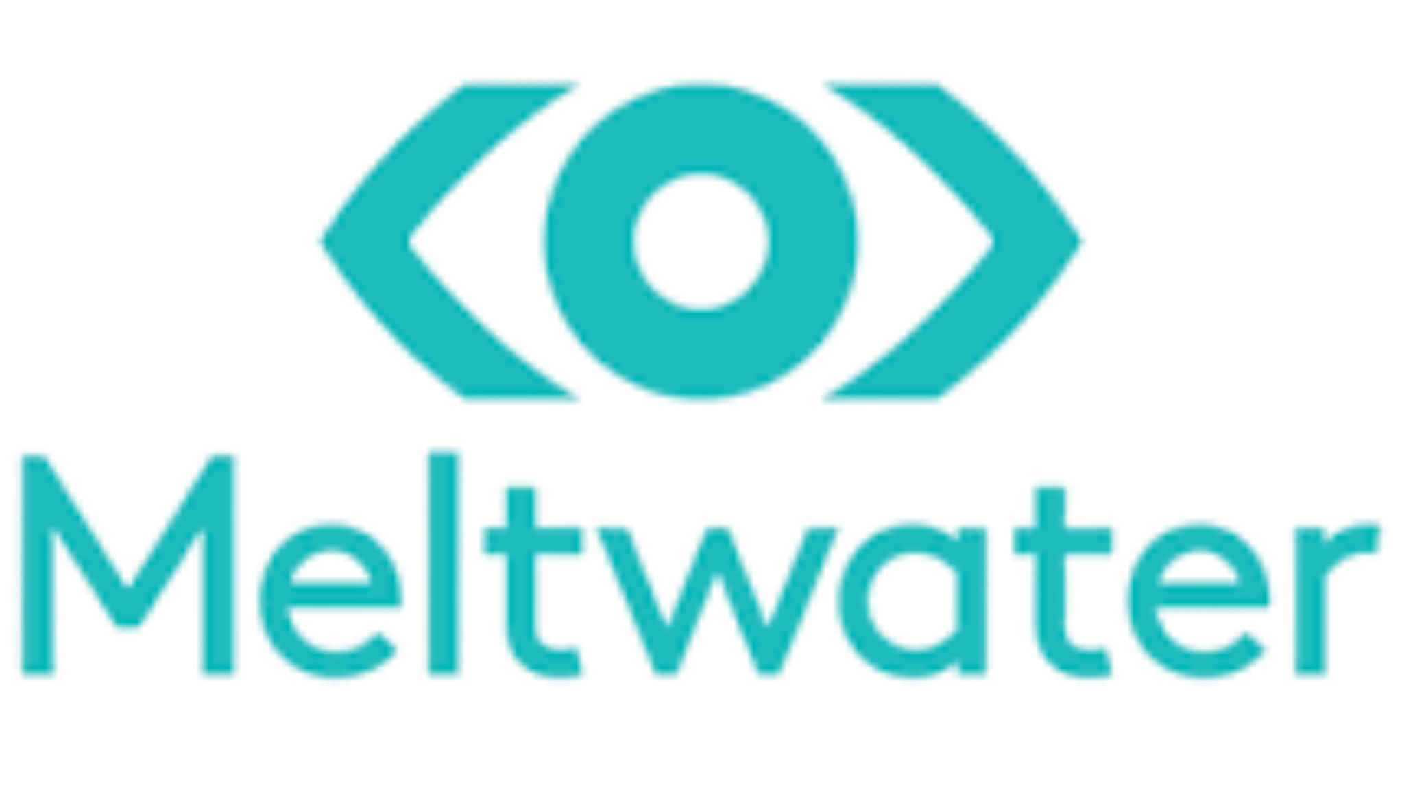 Meltwater - Global SaaS Company partner logo
