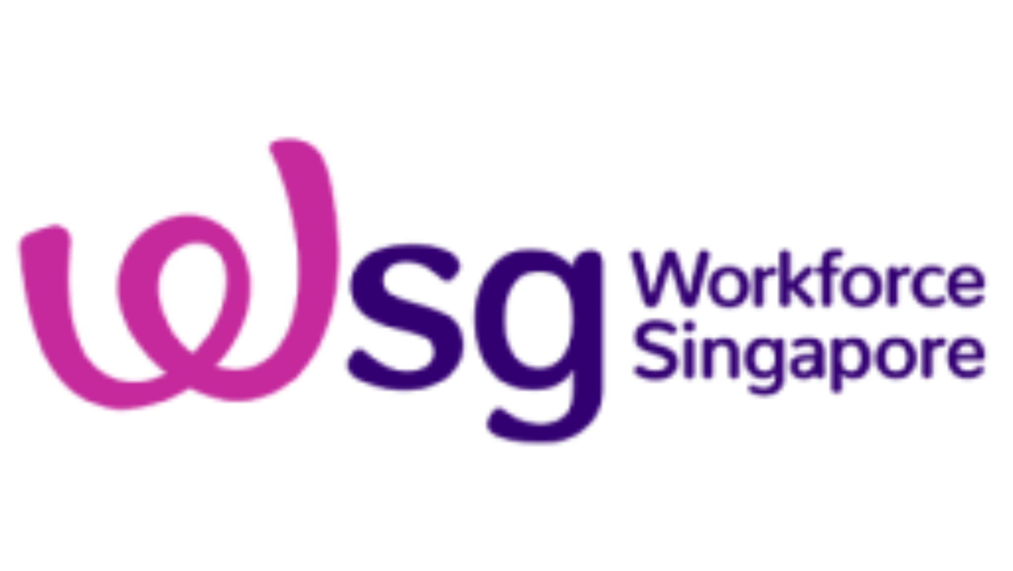 WSG - Government Agency partner logo